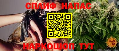 гашик Бузулук