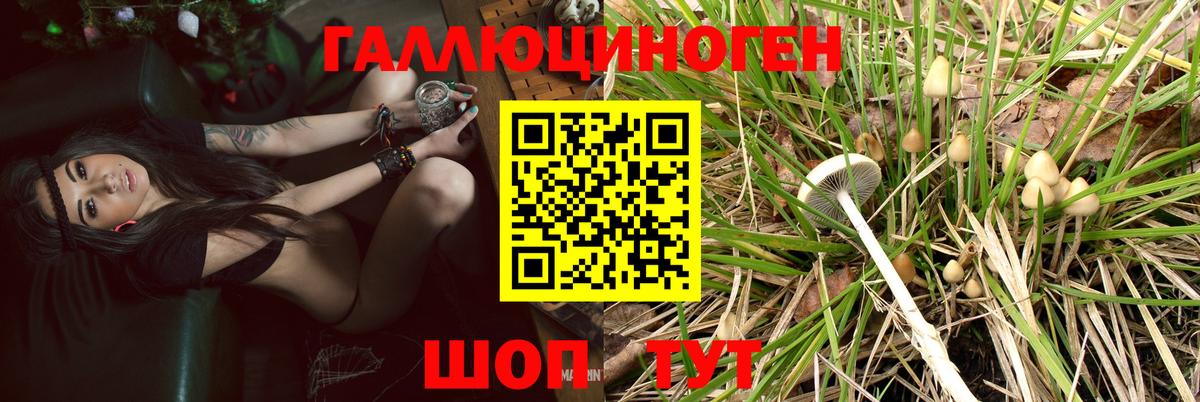 Галлюциногенные грибы GOLDEN TEACHER Рыбинск